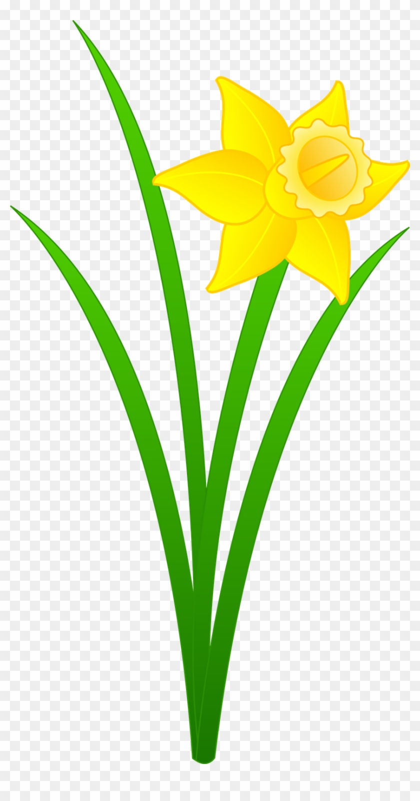 Daffodil Flower Clip Art N3 - Daffodil Clipart - Png Download #2820097