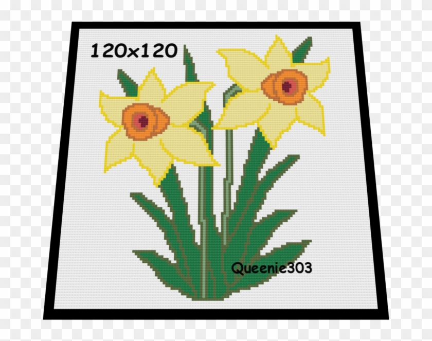 Daffodil - Narcissus Clipart #2820431