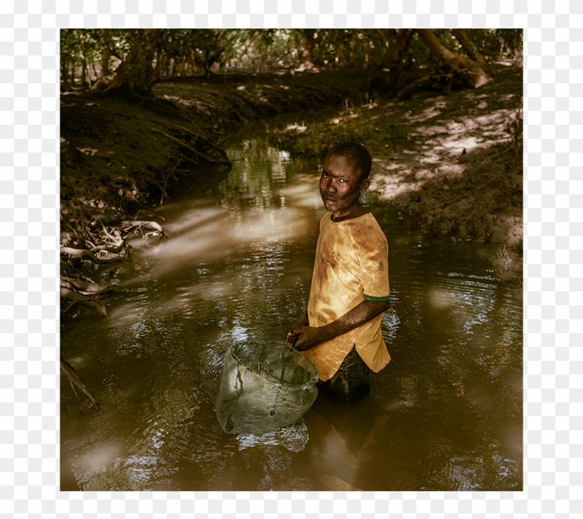 1 - Pond Clipart #2820854