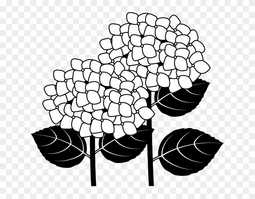 Hydrangea Clip Art - Hydrangea Clipart Black And White - Png Download #2821327