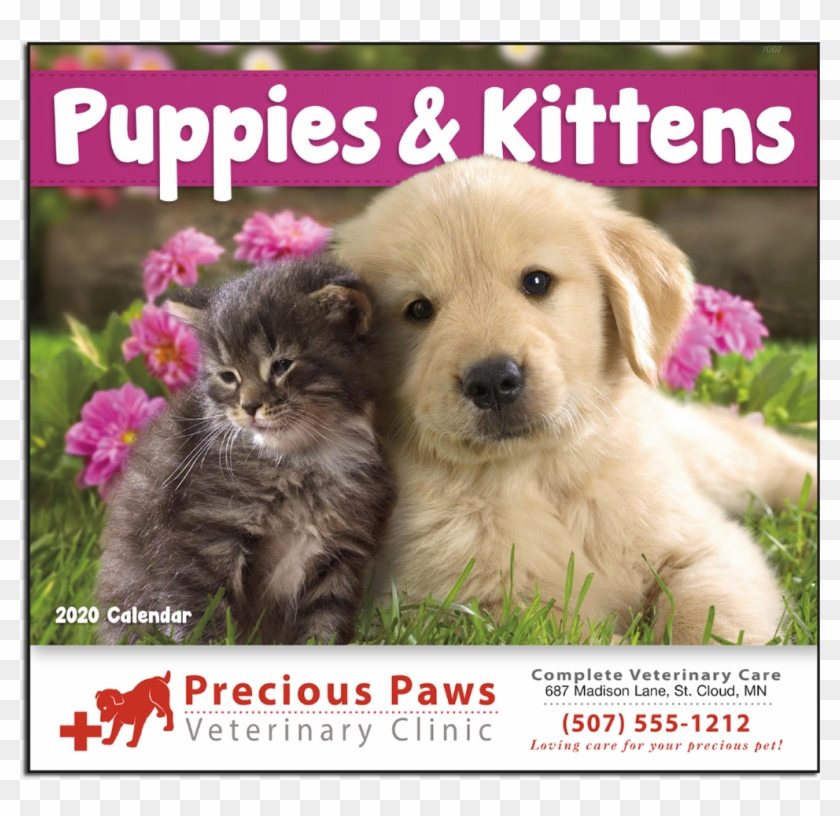 Picture Of Puppies & Kittens Wall Calendar - Thank You Kittens And Puppies Clipart #2821698