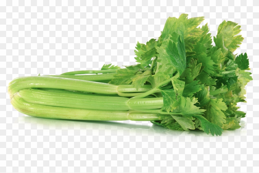 Celery Png Transparent Clipart #2822554