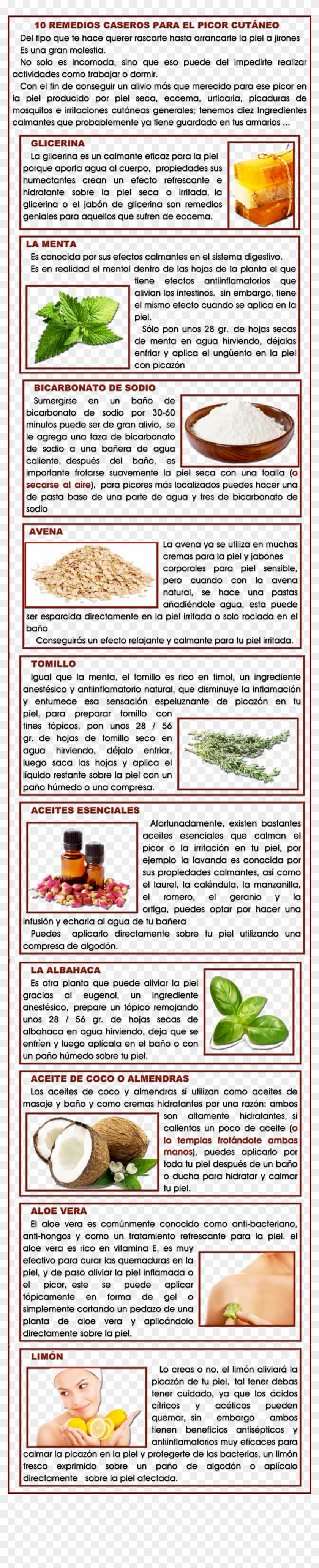 1a - Vegetarian Food Clipart