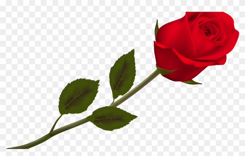 Transparent Background Png Roses Clipart #2824222
