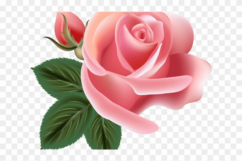 Pink Rose Clipart Png Format - Clip Art Transparent Png