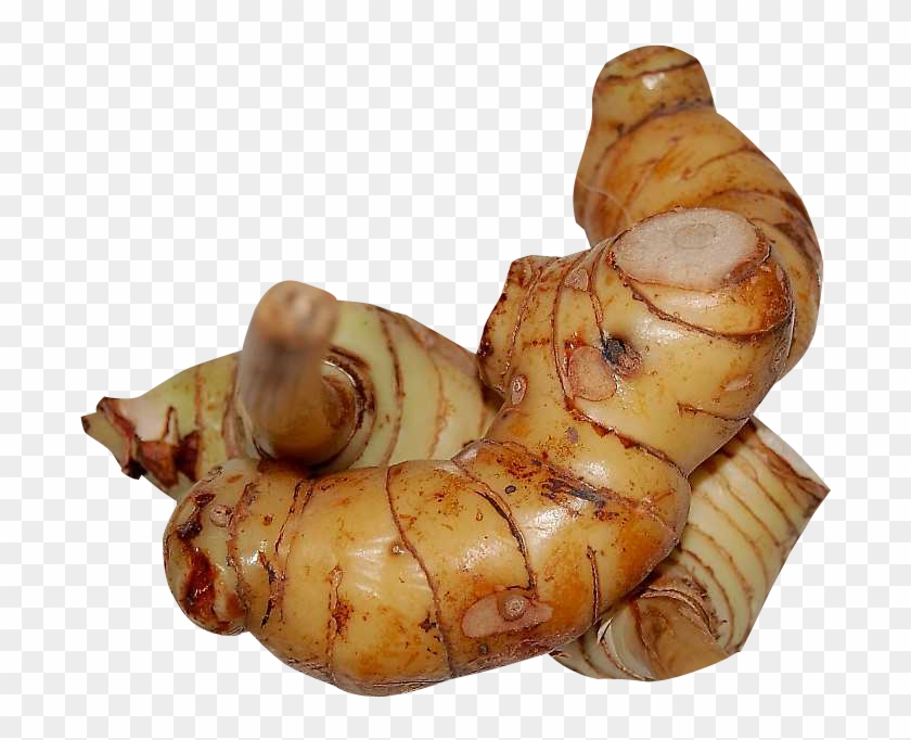 Galangal Png Image - Galangal Png Clipart