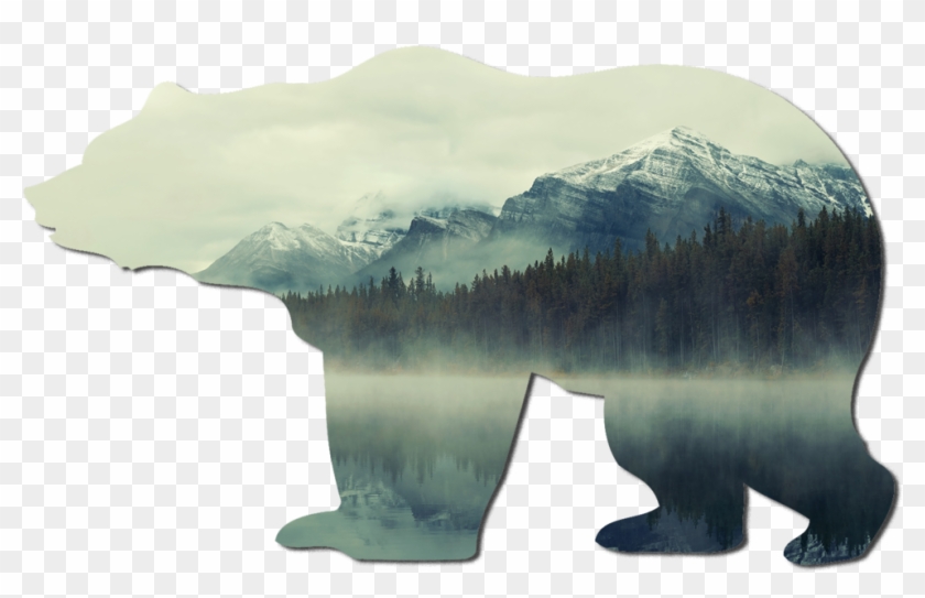 Polar Bear Clipart