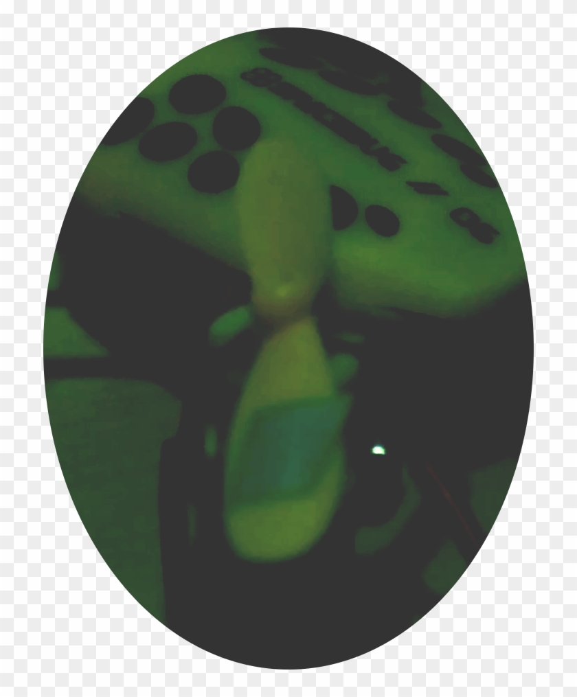 Circle Clipart #2825821