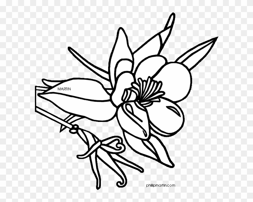 Colorado State Flower Drawing - Columbine Flower Images Clipart - Png Download