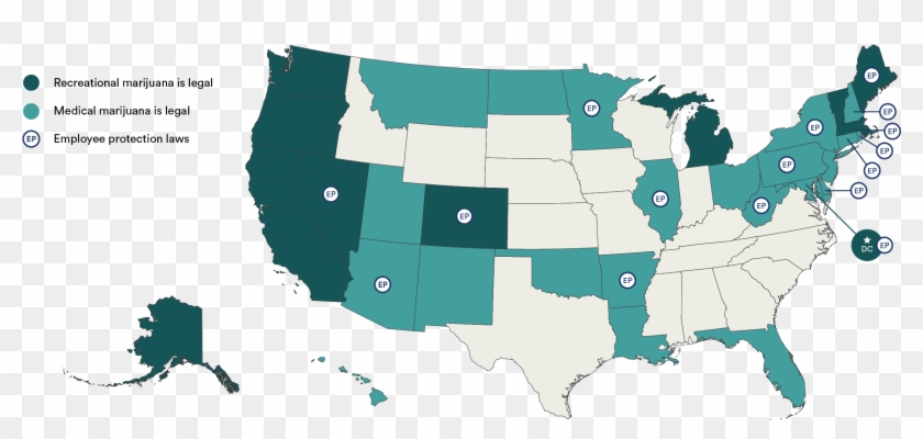 Maps For Marijuana In The Workplace Policies - Weed Legal States Clipart #2827154