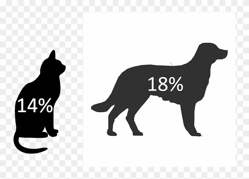 Black Cat Silhouette White Background , Png Download - Cat Icon Transparent Background Clipart