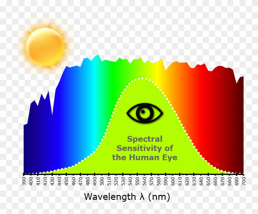 The Language Of - Visible Spectrum Eye Sensitivity Clipart #2827676