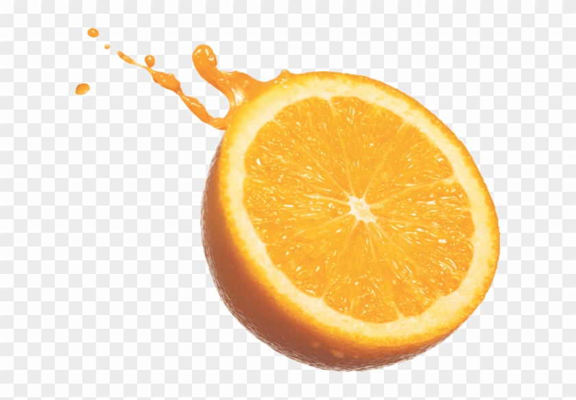 Orange Clipart