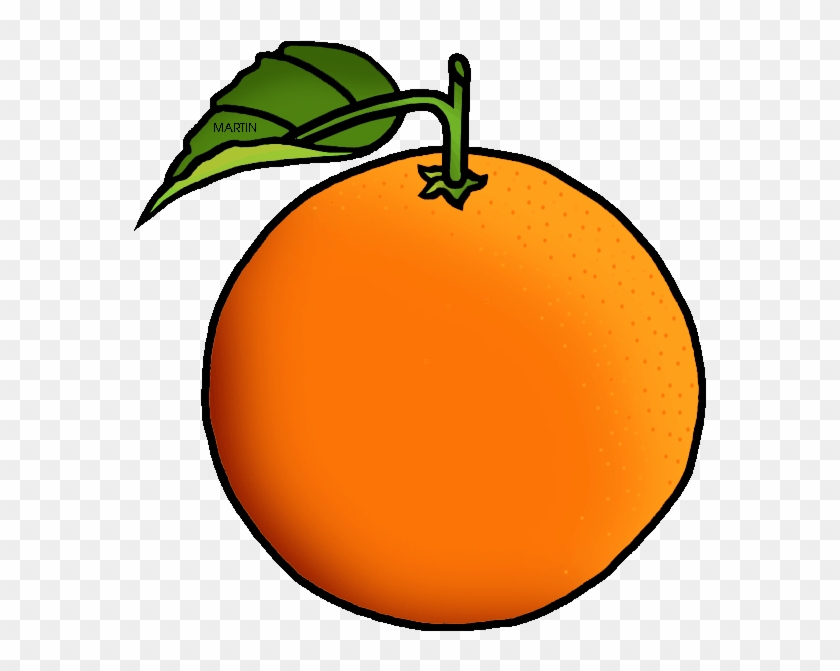 Orange Free United States Clip - Orange Clipart - Png Download #2831110