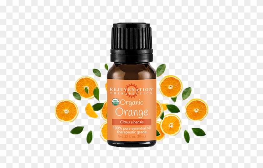 Mandarin Orange Clipart #2831161