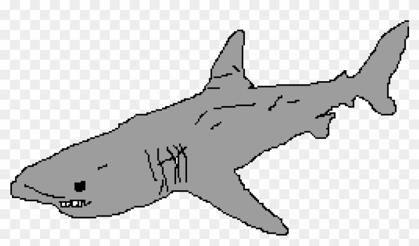 3d Great White Shark - Great White Shark Clipart