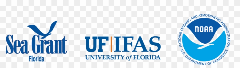 To Learn More, Visit - National Sea Grant College Program Clipart