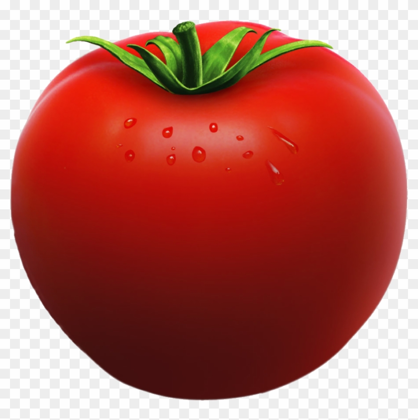 Tomato Clipart Big Plant - Transparent Tomato Cut Png