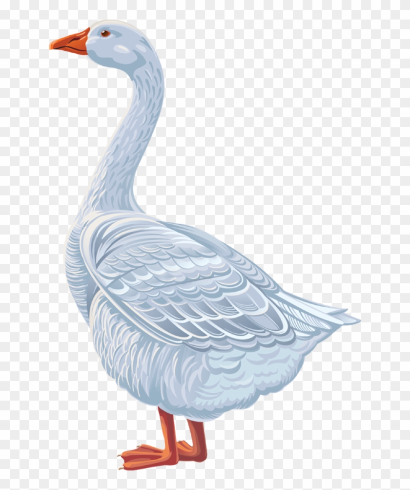 Quality Clip Art Of Animals That Live On A Farm - وزة كليب ارت - Png Download #2833796