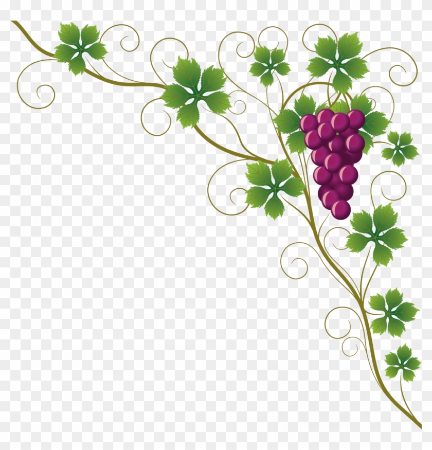Vine Clipart Raisin - Design Border Of Chart - Png Download