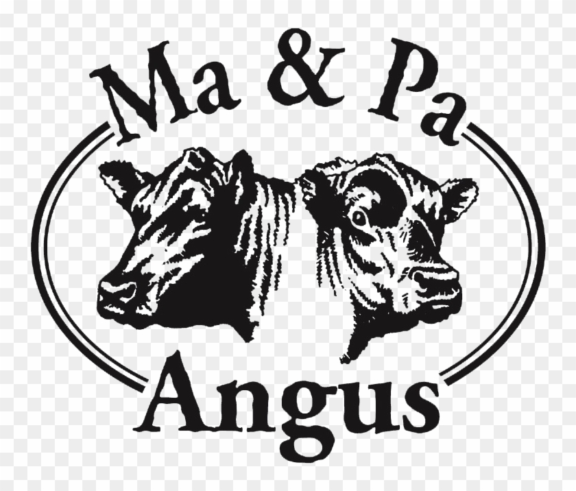 Ma And Pa Angus - Black Angus Bull Logo Clipart #2834981
