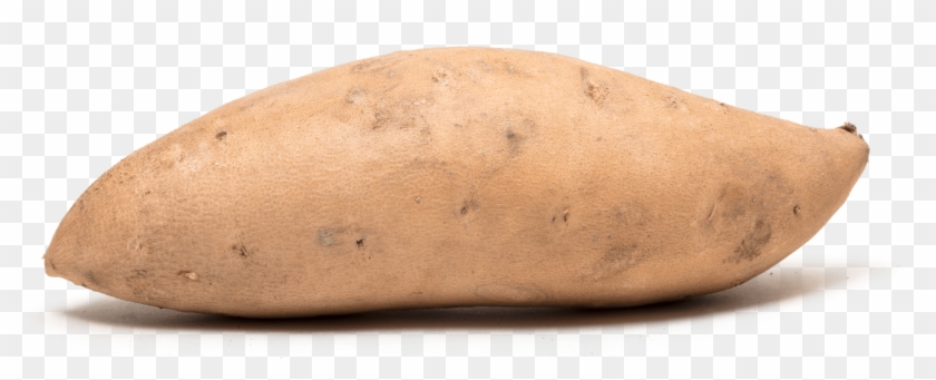 Sweet Potato Clipart #2835105
