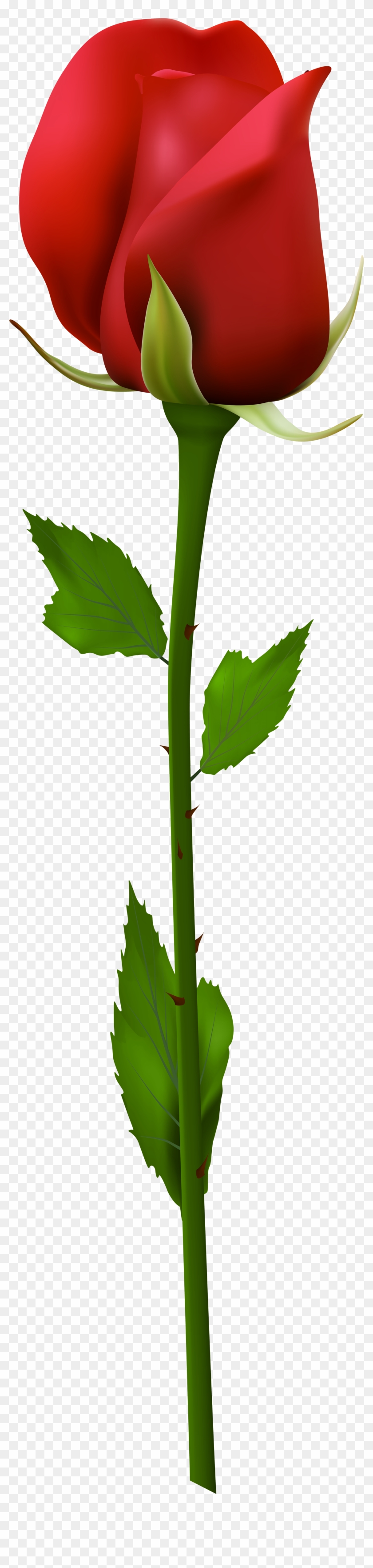 Red Flower Clipart Stem Clipart - Portable Network Graphics - Png Download