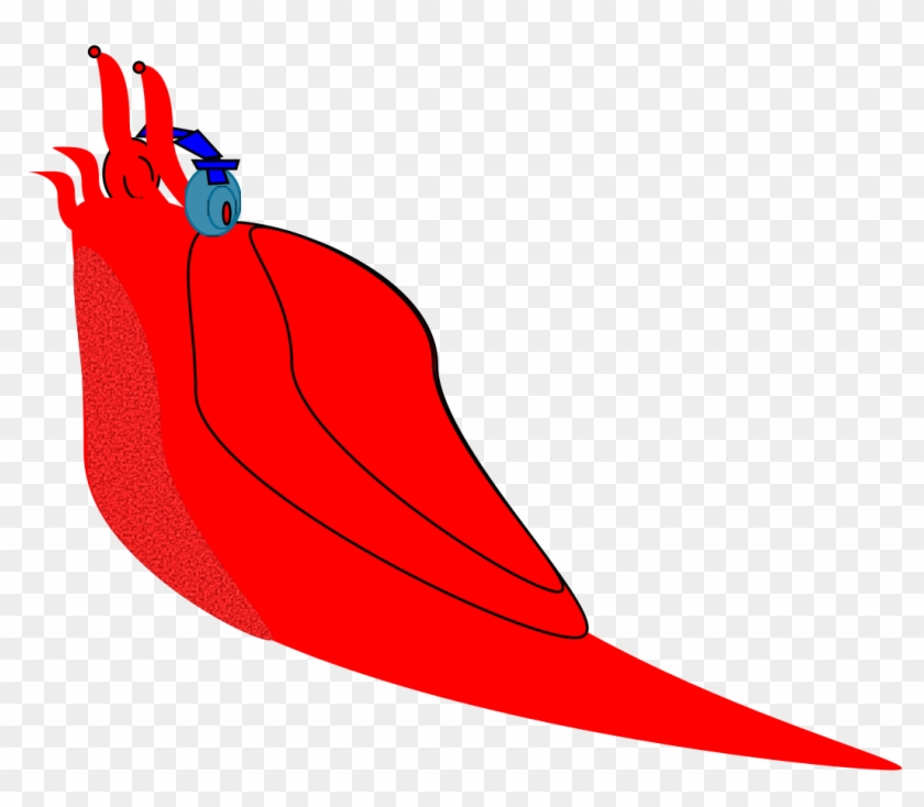 This Free Icons Png Design Of Slug Headphone - Illustration Clipart