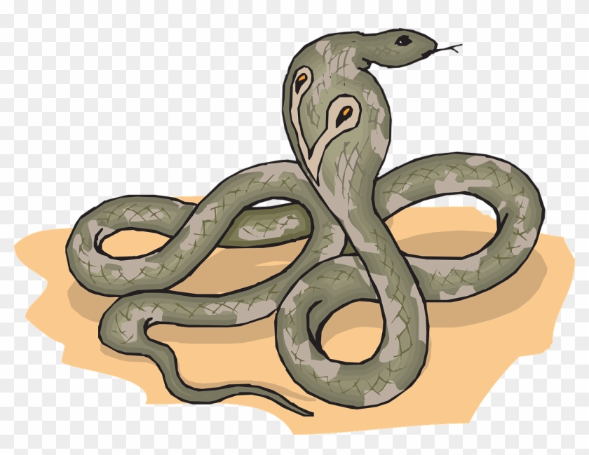 Cobra Snake Raised Hissing Png Image - Animasi Ular Kobra Gerak Clipart #2836704