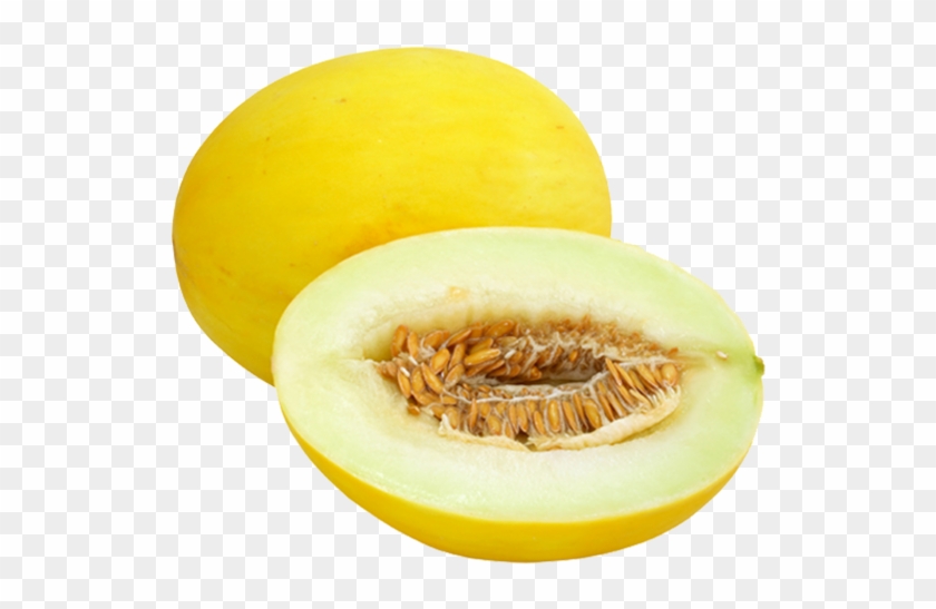 Honey Melon - Yellow Melon Clipart