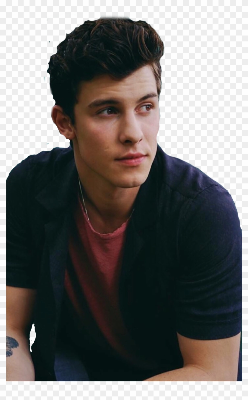 Shawn Mendes Clipart #2838728