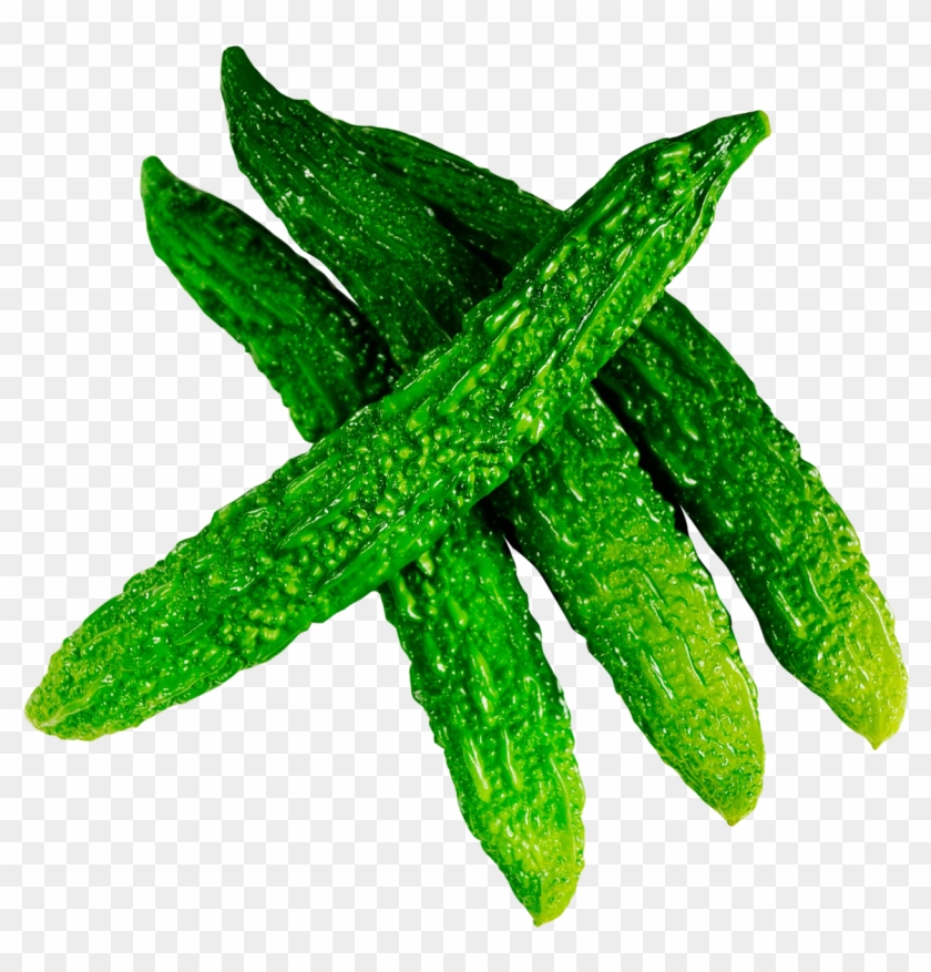 Fresh Bitter Gourd Png Image - Bitter Gourd Png Clipart