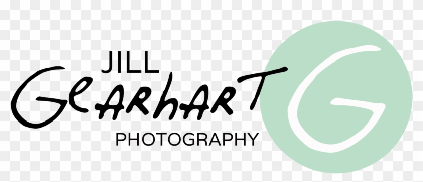 Picture Perfect Photography Png - Calligraphy Clipart