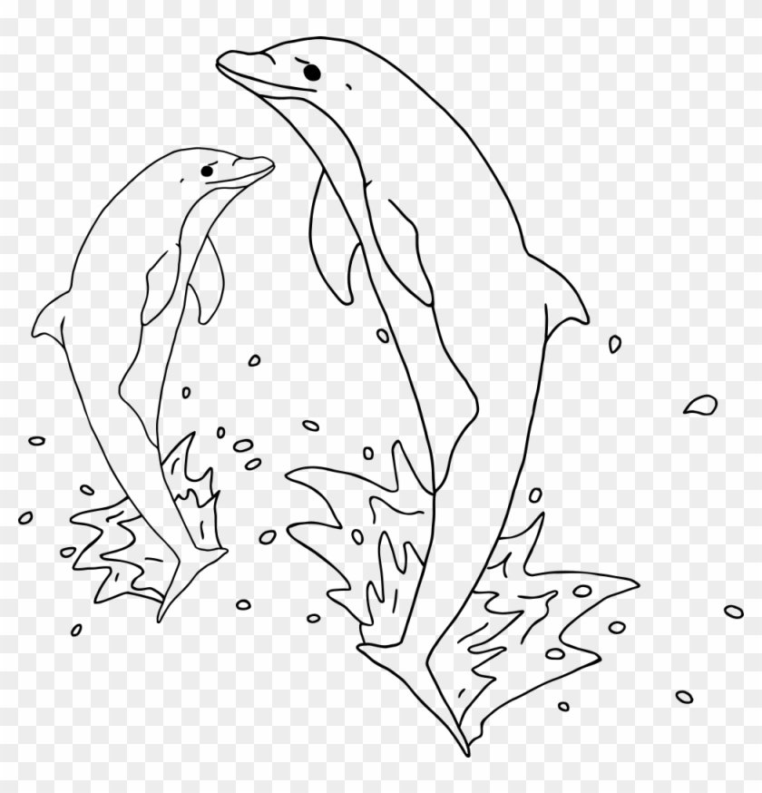 Image Free Jumping Outlines Cricut And Clip Art - Dolphins Clipart Black And White - Png Download #2841511