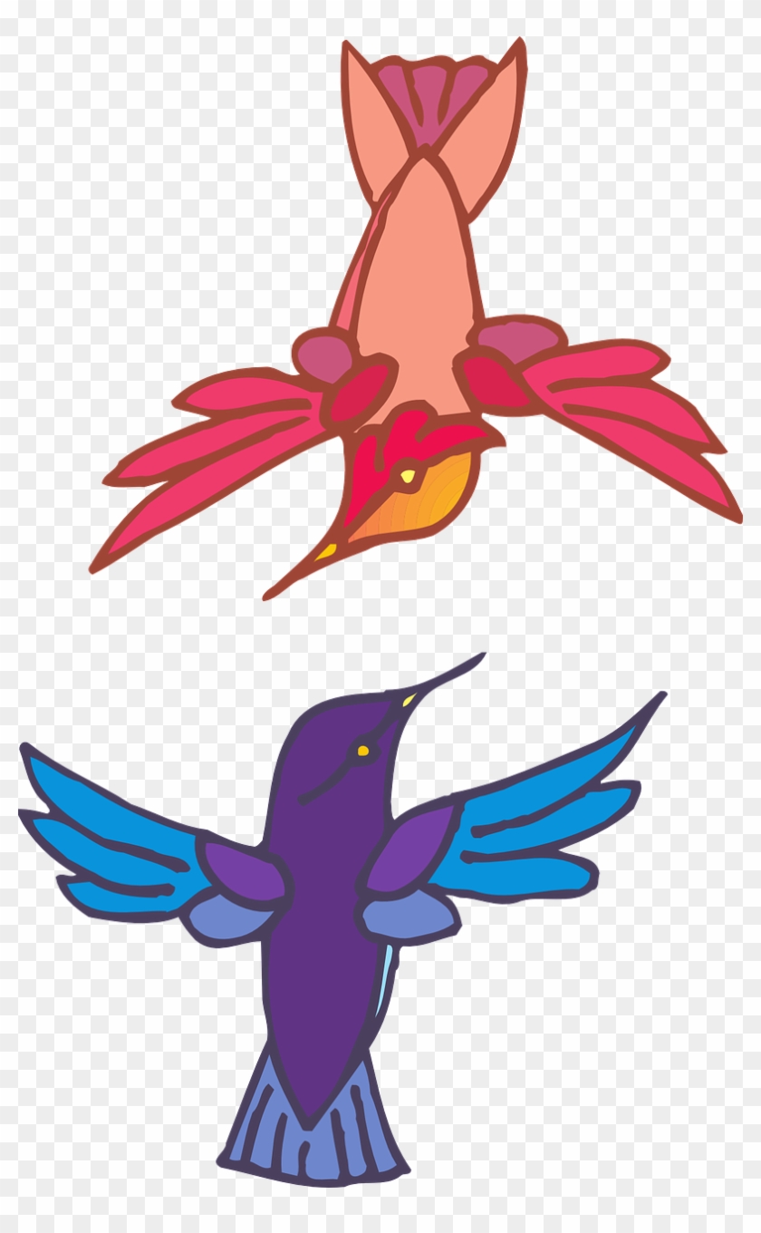 Two Birds Flying Colors Wings Png Image - Two Birds Flying Transparent Clipart
