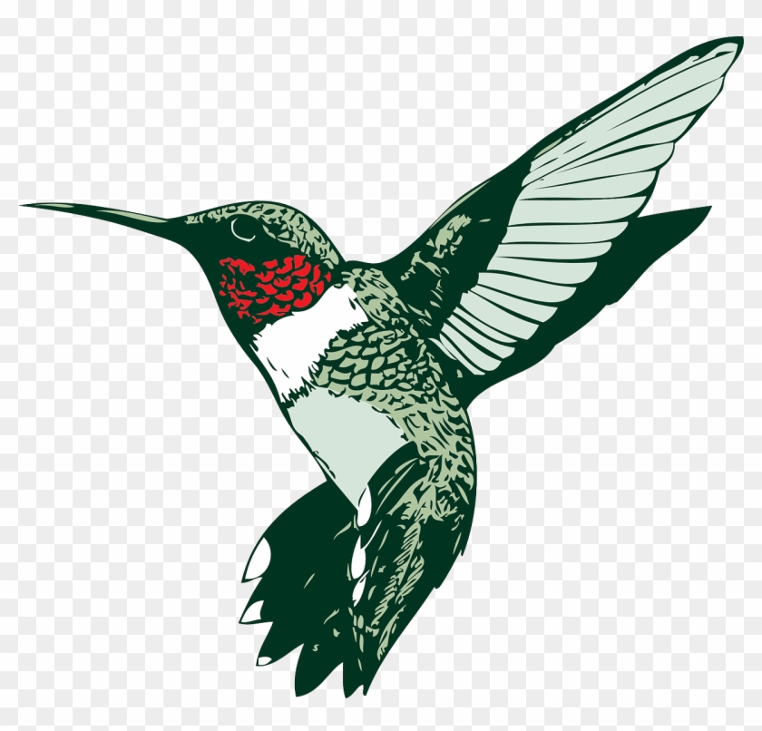 Bird Hummer Hummingbird Png Image - Humming Bird Clip Art Transparent Png #2847227