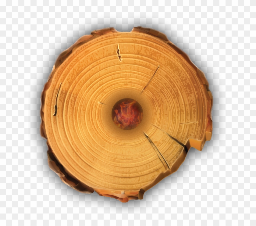 Timber Tote Log Top View - Tree Stump Wood Rings Clipart