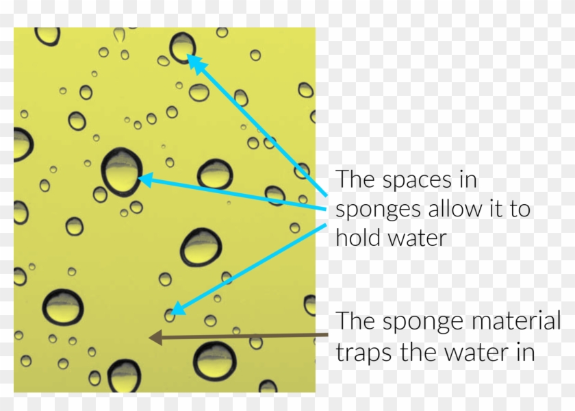 Spaces In Sponges Allow It To Hold And Trap Water - Drop Clipart #2848126