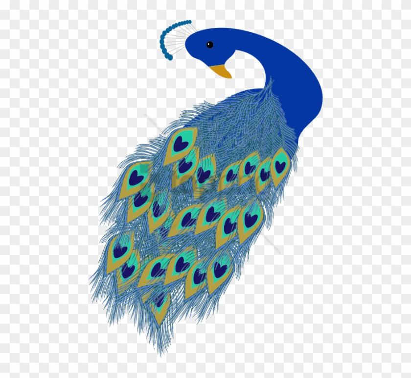 Free Png Peacock Featherfor Kids - Illustration Of Peacock Clipart