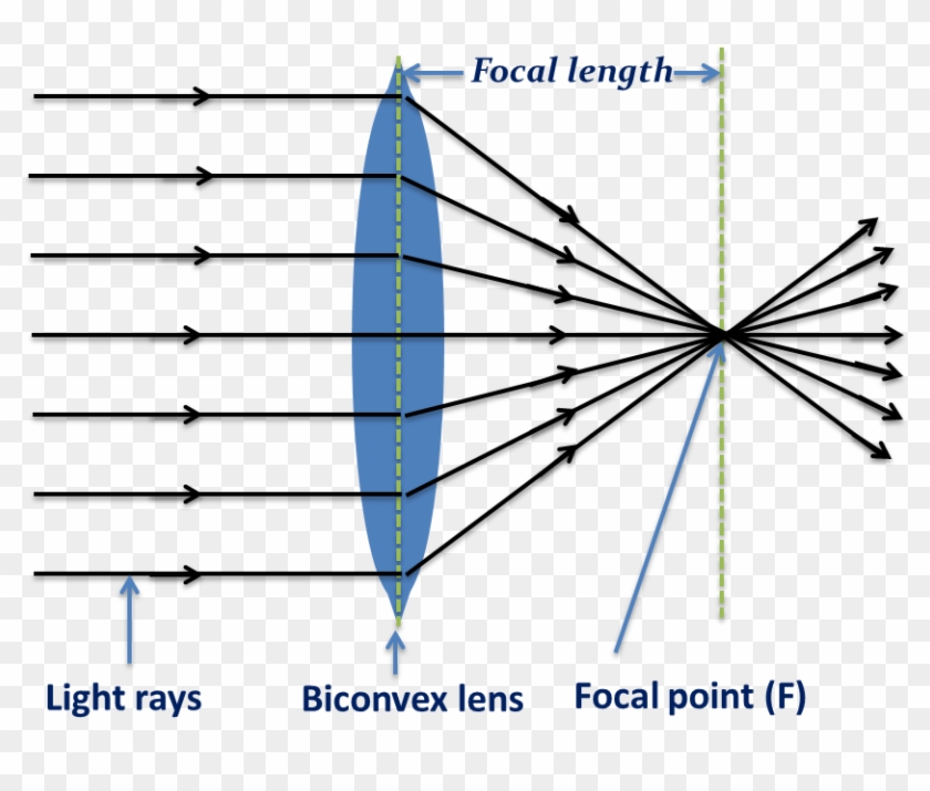 Biconvex Len- Converging Light Rays - Light Clipart #2848889