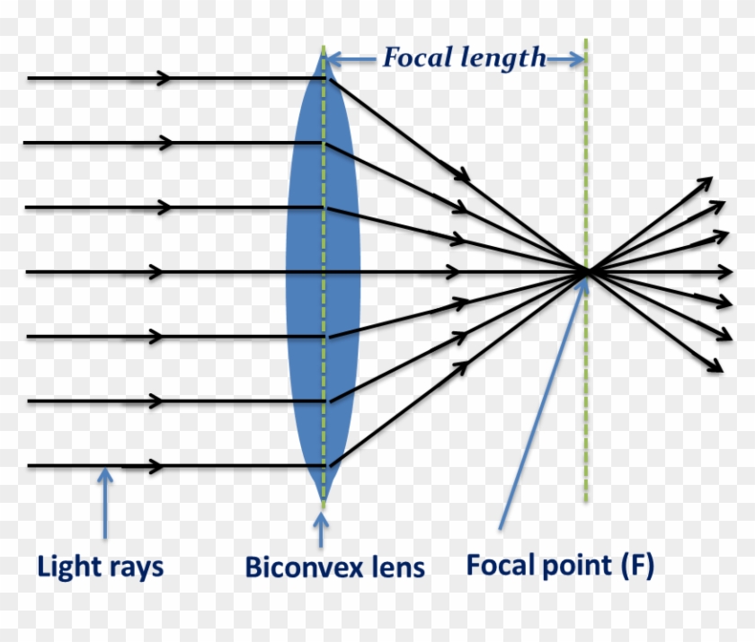 Biconvex Len- Converging Light Rays - Light Clipart