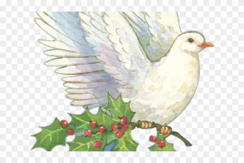Clip Art Dove Vintage Christmas - Png Download #2849367