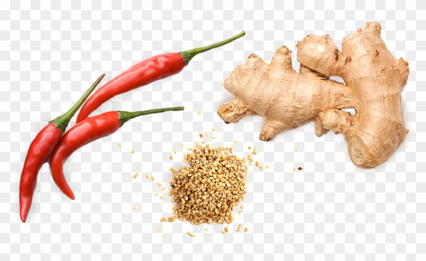 Buy Nowlearn More Savory Wild - Ginger Root Free Clipart