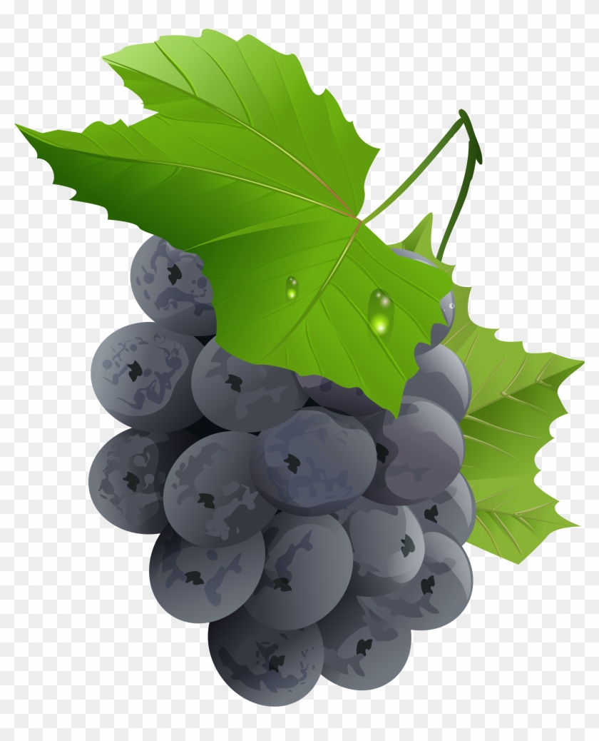 Grapes Transparent Png Clip Art Image #2850237