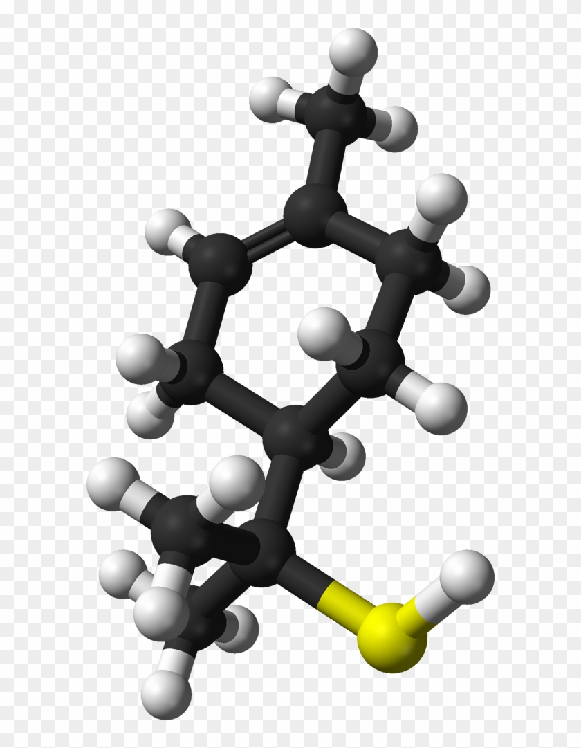 Grapefruit Mercaptan 3d Balls - Grapefruit Molecule Clipart #2851633