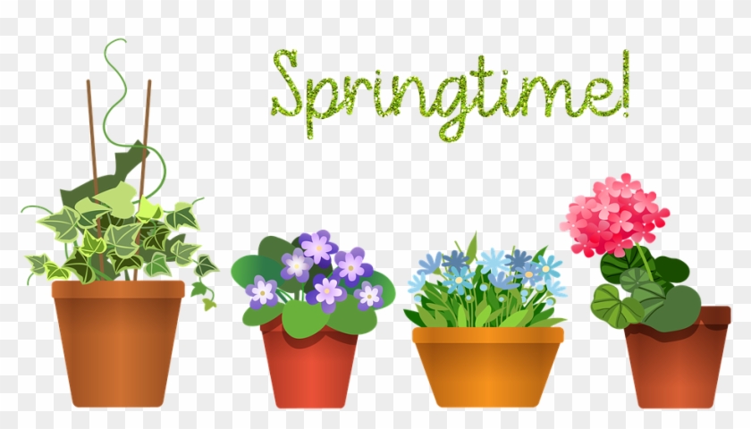 House Plants Flowerpot Plant Green House Flower - Flowerpot Clipart #2851871