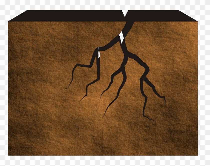 Png Download Adobe Illustrator Cracked Stone Png Transprent - Plywood Clipart