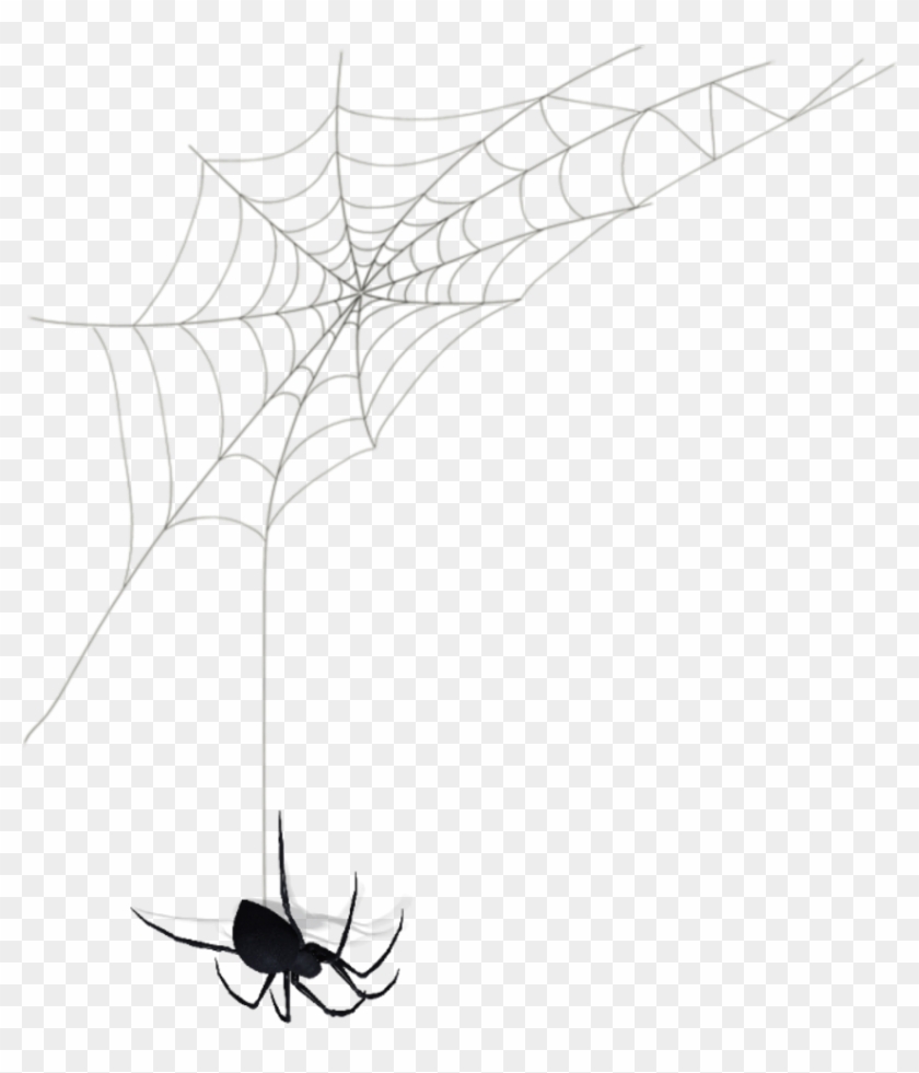 Cobweb Sticker - Black Widow Clipart #2852150