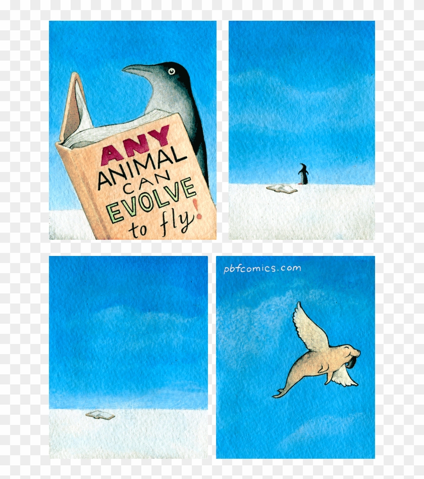 Evolving To Fly - Seabird Clipart #2852159