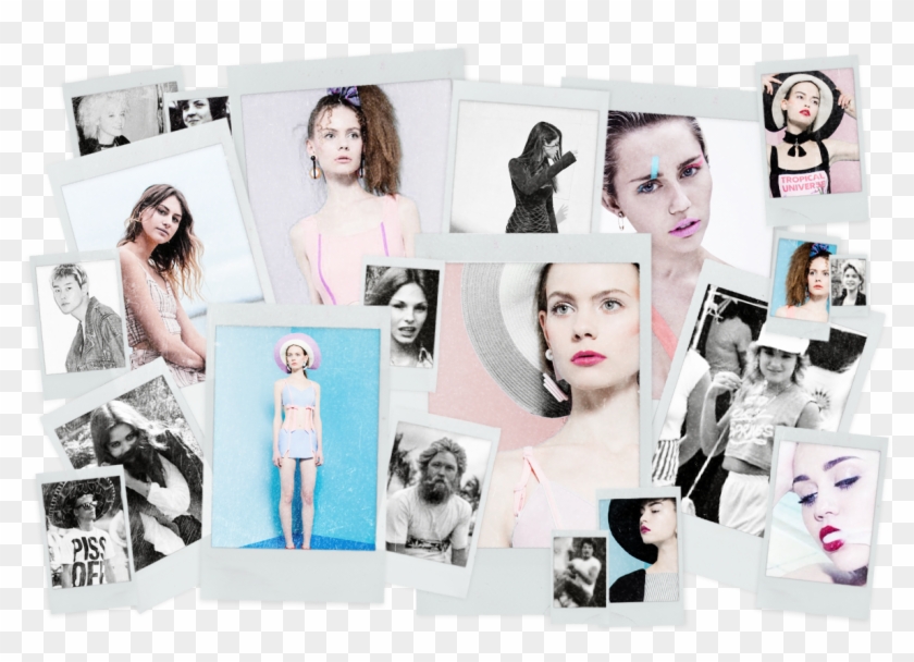 “ Template - Dolphin Shorts From The 80's Clipart